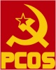 PCOS-Logo.jpg