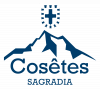 Logo-Cosetes.png