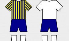 Trikot-Acelandaro.jpg