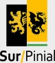 Logo-SurPinial.jpg