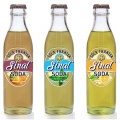 SinalSoda.jpg