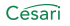 Césari-Logo.png