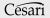 Césari-Logo.jpg