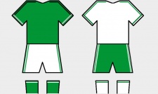 Trikot-Lesnario.jpg