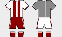 Trikot-Servettense.jpg