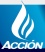 LogoAccion.jpg