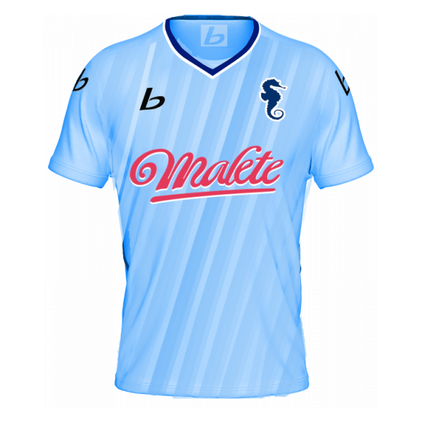 Datei:Trikot-UD1880-2026-2027.png