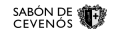 Vorschaubild der Version vom 21. August 2023, 22:47 Uhr