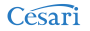 Cesari-Logo.fw.png