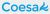 Coesa-Logo.jpg